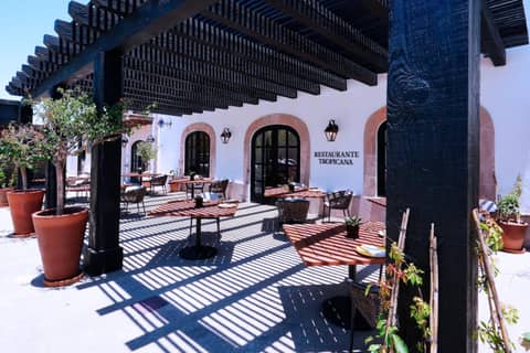Tropicana Los Cabos, Tapestry Collection by Hilton — photo 8