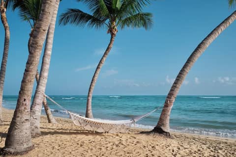 The Excellence Club at Finest Punta Cana Adults Only - All Inclusive — photo 9