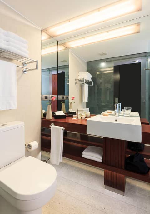 Hotel Ismael - Lastarria — photo 9