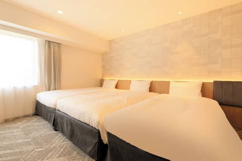 JR WEST GROUP VIA INN PRIME SAPPORO ODORI — photo 9