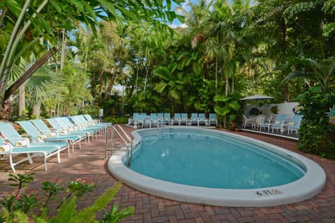 Pineapple Point Guesthouse & Resort - Gay Men's Resort — recepcion & lobby