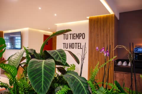 Hotel ByHours Las Américas — photo 4