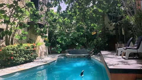 Manaya Bed & Breakfast — photo 3
