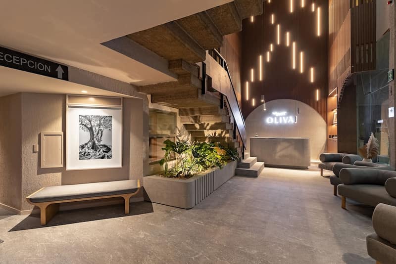 Oliva Plaza Hotel — photo 1