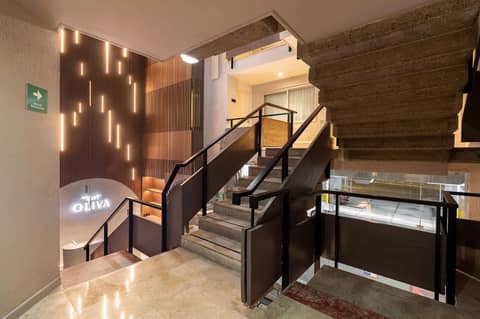 Oliva Plaza Hotel — photo 4