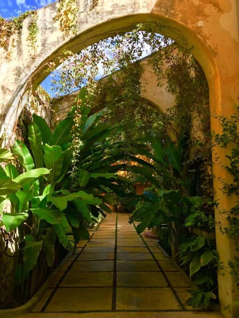 Bungalows Demetria — photo 9