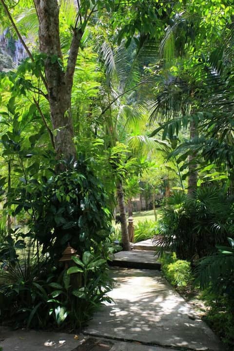 Vipa Tropical Resort — photo 2