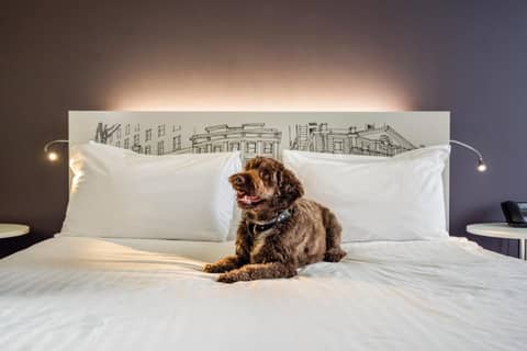 INNSiDE by Meliá Manchester — photo 8