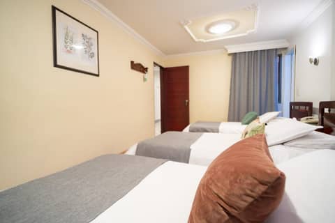 Hotel Virrey Central — photo 2