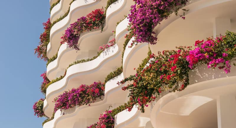 Grand Miramar All Luxury Suites & Residences, Puerto Vallarta