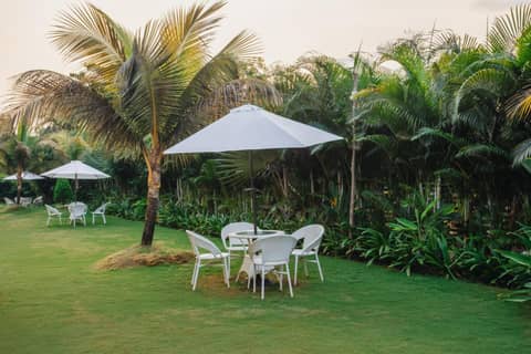 Sibaya Beach Resort Morjim — photo 5