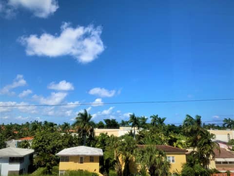 Tropicals of Palm Beach — photo 4