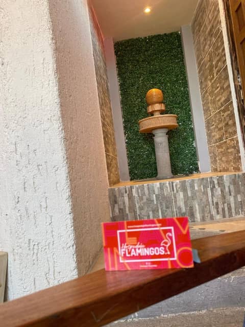 Hotel Flamingos — photo 5