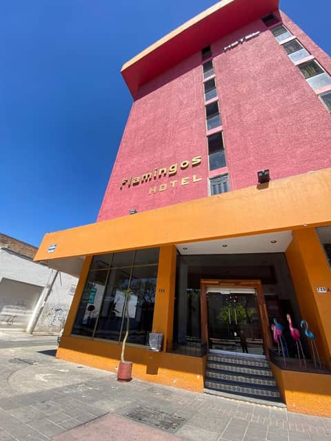 Hotel Flamingos — photo 7