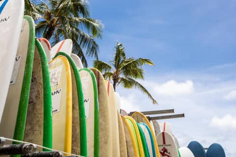 Lotus Honolulu at Diamond Head — activities & amenities