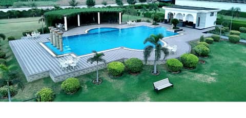 Umaid Farm Resort- A Legacy Vintage Stay In Jaipur — photo 6