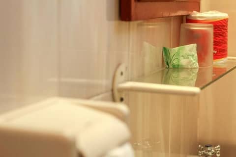 Delta Homestay — bathroom