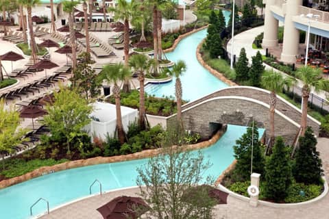 Signia by Hilton Orlando - An Official Walt Disney World Hotel — swimming pool