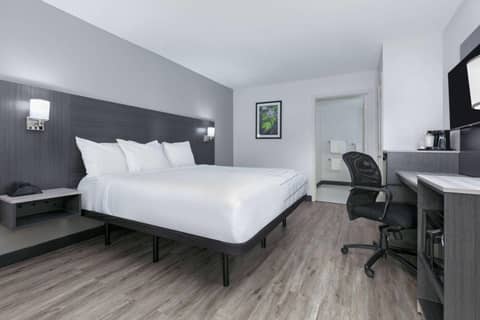 La Quinta Inn by Wyndham Dallas Uptown — photo 9