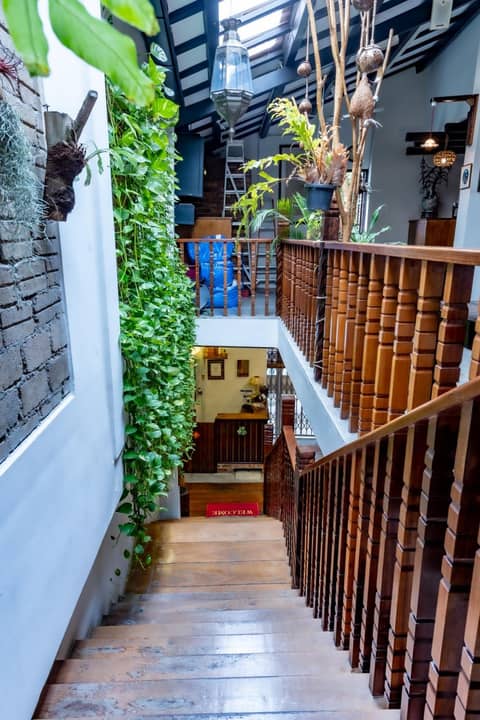 Palm Mansion Boutique Suites — photo 3