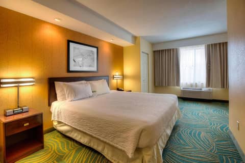 SpringHill Suites by Marriott - Tampa Brandon — hotel room