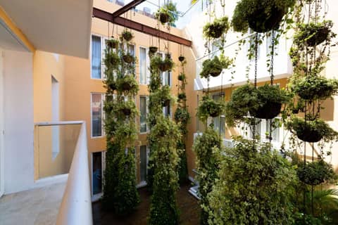 Nacar Hotel Cartagena, Curio Collection by Hilton — photo 2