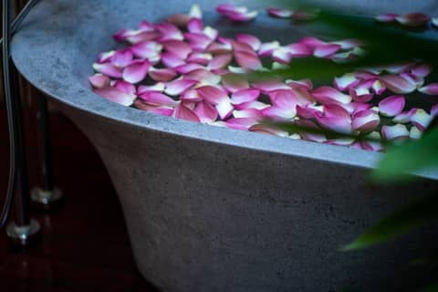 Shintana Saya La Maison — photo 2