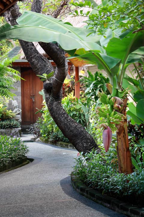 AlamKulkul Boutique Resort — photo 2