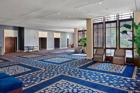The Westshore Grand, Tampa, A Tribute Portfolio Hotel — photo 7