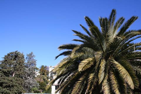 Résidence La Villa Léonie — photo 4
