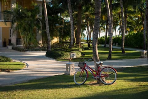 Tortuga Bay — photo 9