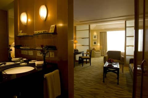 The Grand New Delhi — photo 6