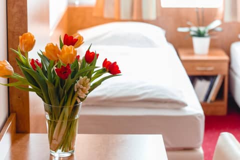 Hotel Allegro Wien — photo 9