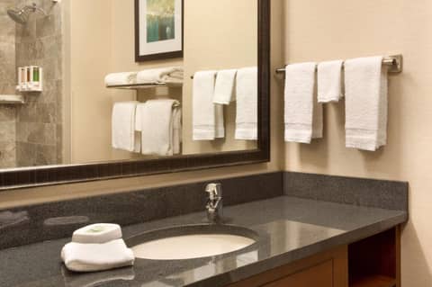 Drury Plaza Hotel St Louis Brentwood — photo 8
