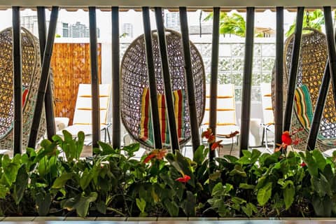 Oasis Hotel Waikiki — photo 8