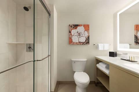 Embassy Suites by Hilton Denver International Airport — photo 3