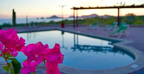 Sunrock Hotel and Suites — photo 5