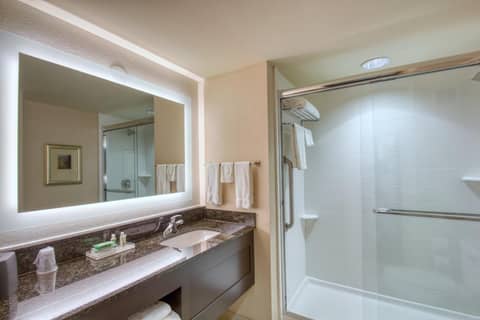 Holiday Inn & Suites Atlanta Airport North by IHG — photo 8