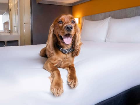 ibis budget Lima Miraflores — photo 6