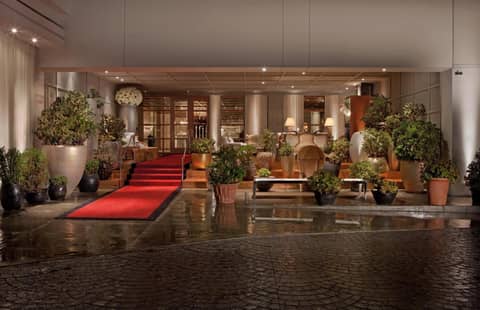 SLS Hotel, a Luxury Collection Hotel, Beverly Hills — photo 9