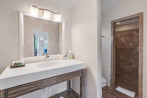Inndulge -- A Modern Gay Men's Resort — bathroom