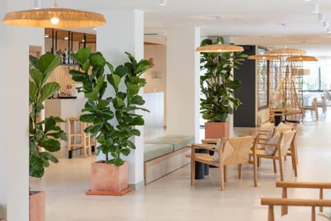 Copaiba by Honne Hotels - Adults Only — photo 2