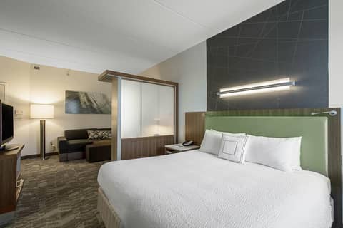SpringHill Suites Tampa North/Tampa Palms — photo 3
