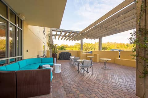 SpringHill Suites Tampa North/Tampa Palms — photo 5