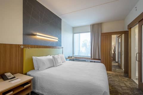 SpringHill Suites Tampa North/Tampa Palms — photo 9