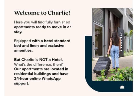 Charlie Houx Faria Lima — human