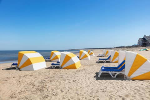 Delta Hotels by Marriott™ Virginia Beach Waterfront Suites — photo 8