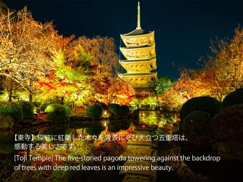 Hotel Resol Kyoto Kawaramachi Sanjo — photo 6
