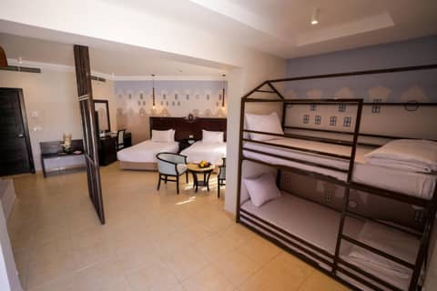 Calimera Blend Paradise — photo 4