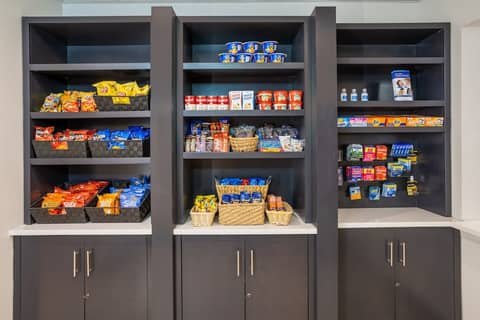 Holiday Inn Express Hotel & Suites New Tampa I-75 by IHG — photo 8